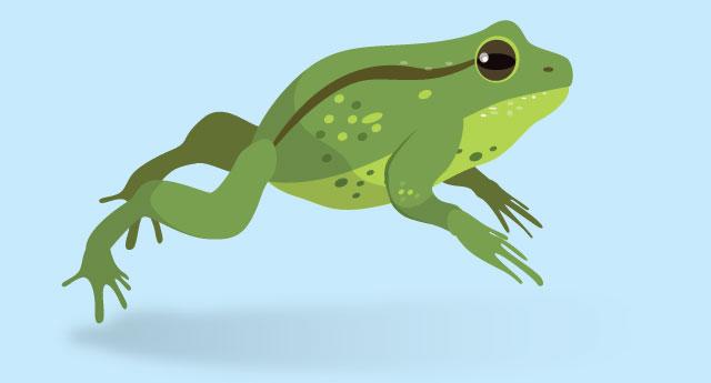 A green frog leaps forward.
